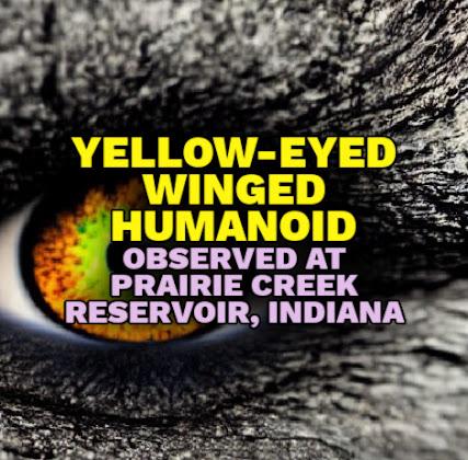 YELLOW-EYED WINGED HUMANOID Observed at Prairie Creek Reservoir, Indiana
